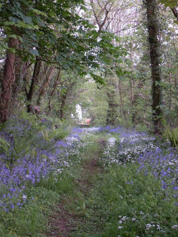 Priskilly Forest Country House Fishguard Εξωτερικό φωτογραφία