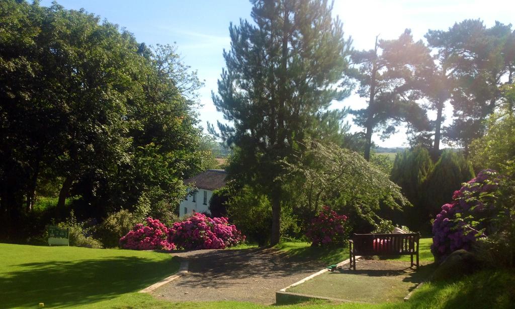 Priskilly Forest Country House Fishguard Δωμάτιο φωτογραφία